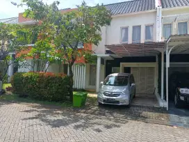 Sewa/Kontrak Rumah BSD Murah Tahunan (Kosongan)