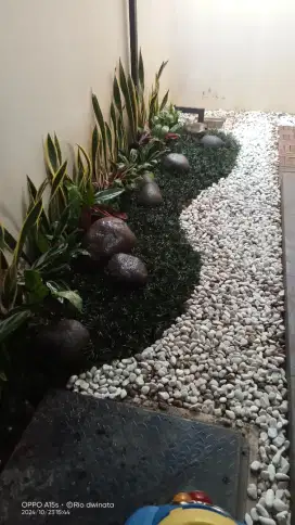 Tukang taman minimalis