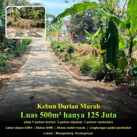 Tanah kebun durian mojogedang Karanganyar termurah