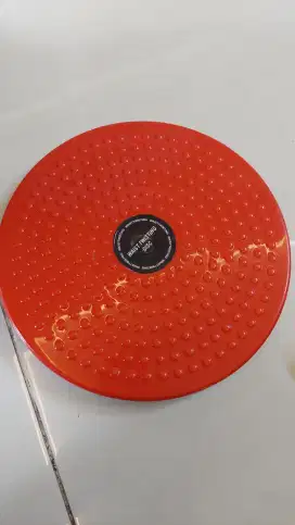 Waist twisting disc