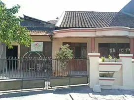 Kos di pusat semarang kota