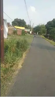 Dijual Tanah Balongbendo SHM Nego