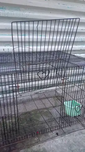 Kadang kucing/anjing masih mulus