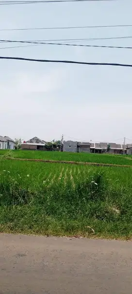 TANAH SAWAH PERUMAHAN DIJUAL LUAS