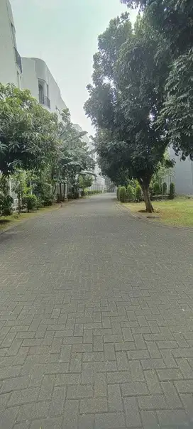 Kavling bagus kotak di Foresta BSD Cluster Naturalle, hoek