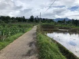 Tanah Luas dan Sejuk di Area Wisata Pamijahan cocok untuk Villa, Kebun