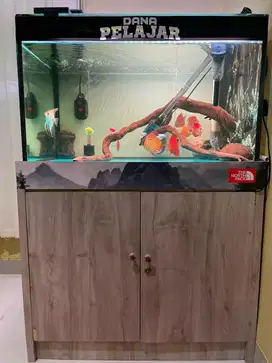 Aquarium kabinet 80x60x60 fullset