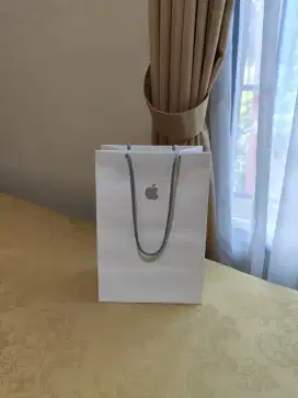 Paper Bag Apple Store Singapore