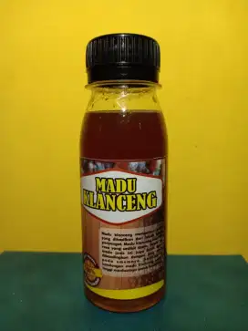 Madu klanceng murni asli dari ternak/budidaya sendiri