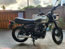 Kawasaki W175 TR
