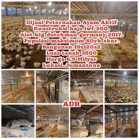 Dijual Peternakan Ayam Aktif Jumantono