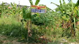 DIJUAL TANAH LAHAN KEBUN