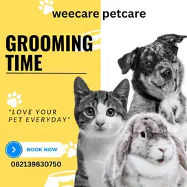 Grooming Perawatan anjing kucing kelinci