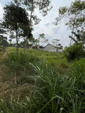 Dijual tanah di desa Cilembu Sumedang