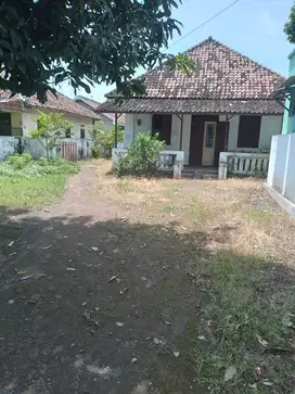 DIJUAL RUMAH LAMA DI WONOREJO PASURUAN