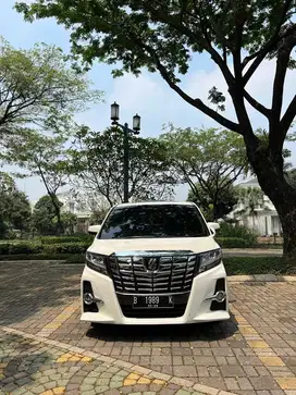 TOYOTA ALPHARD SC ALLES