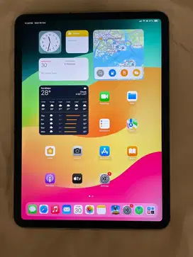 iPad Pro 2 11” WiFi + Cellular (2020) · 512GB · All Operato