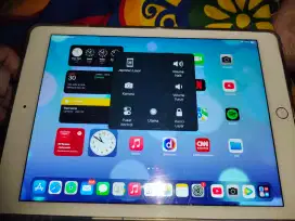 Ipad air 2 mulus