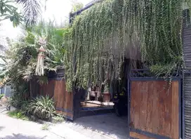 Nice Villa for Sale in Canggu