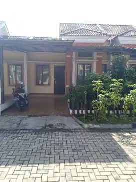 di jual rumah murah di ciseeng