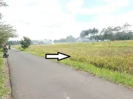 Tanah Sawah lahan hijau Curungrejo Kepanjen Dijual murah B.U L 1,1 ha