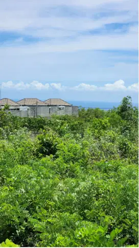 Tanah sewa view laut di ungasan