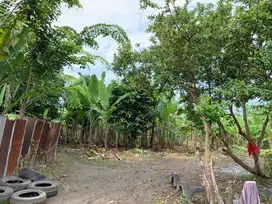 Dijual Tanah Daerah Marelan Jl. ileng Rengas Pulau