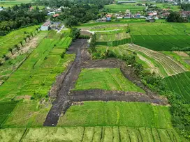 Tanah view 360 derajat persawahan di kedunggu