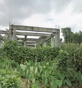 Tanah murah di rembitan dekat Kuta Mandalika Lombok.