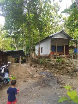 DIJUAL TANAH PEKARANGAN MURAH HARGA RUGI