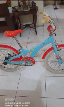 Sepeda anak schwinn