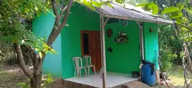 Jual murah tanah brikut rumah kecil.