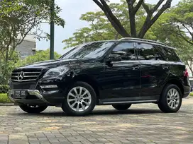 ANTIK 48RB KM BUKAN MILES ! Mercedes Benz ML250 CRDi Solar AT 2015