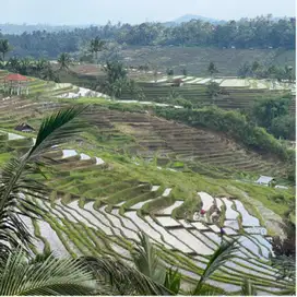 TANAH KEBUN LUAS KECIL VIEW SAWAH TERASERING DI TABANAN BALI.