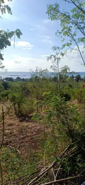 Tanah Sekotong Barat view Pantai Nego Sampe Deal