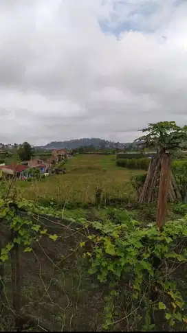 Tanah di jual di dolat rakyat , berastagi