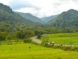 Pekarangan View Alam Bukit Menoreh Jogja: SHM P