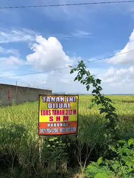 Sawah dijual murah