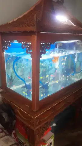 Aquarium dan kabinet jati