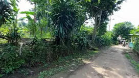 Kapling Terima SHM Dekat Kantor Cibodas Rumpin, Tepat Hunian/Investasi