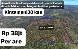 Tanah Kebun pinggir jalan catur kintamani Bangli perbatasan Badung