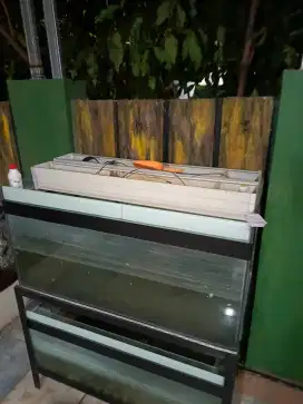 Aquarium arwana