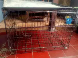 Kandang Kucing 50*80 cm