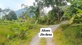 Jual tanah sawah murah view pegunungan puncak 2 Jonggol