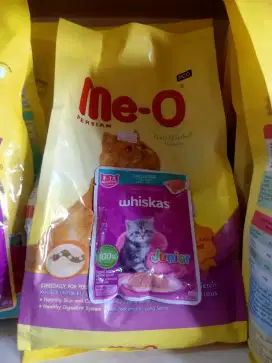 Meo persian makanan kucing