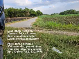 Tanah termurah  nol jalan desa lokasi kemlagi