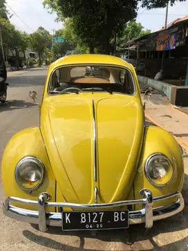 Vw kodok full restorasi