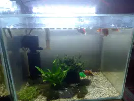 AquaRium fullset dengan isinya