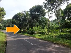 Tanah kebun murah lt 3 hektar pinggir jln propinsi malangbong garut