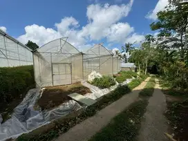 Tanah kebun di Gianyar Bali, 5262 m2